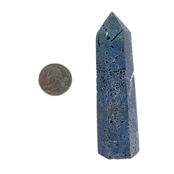 Blue Coral Point with Quarter