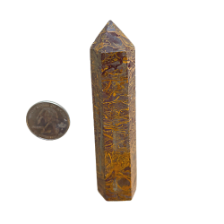 Mariam or Cobra Jasper with quarter