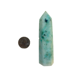 Fynchenite Point with quarter