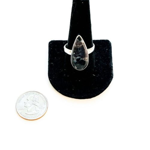Indigo Gabbro Ring Size 12 with Quarter
