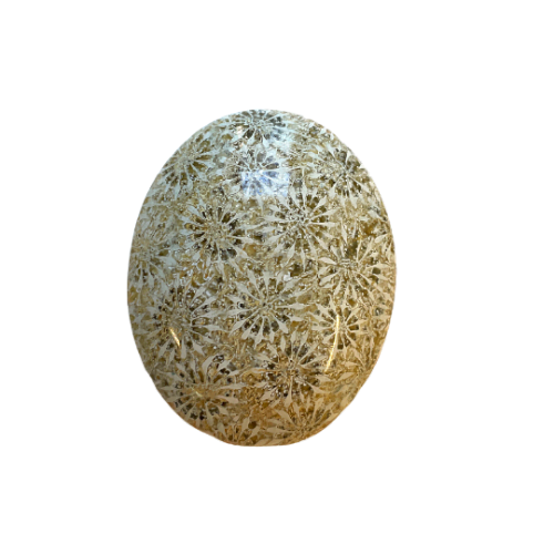 Coral Fossil Palm Stone