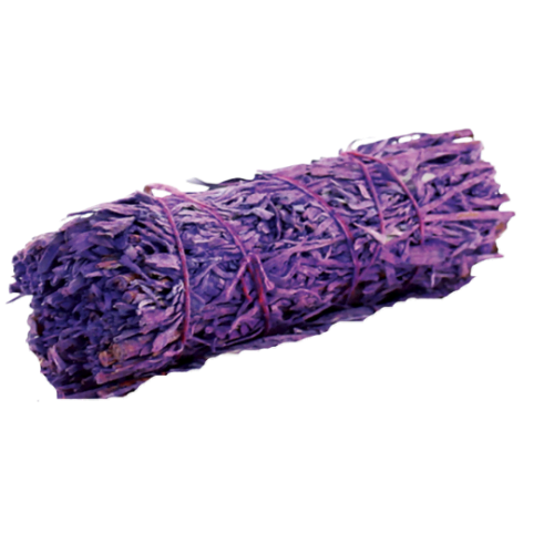 Lavender Sage  4 inches