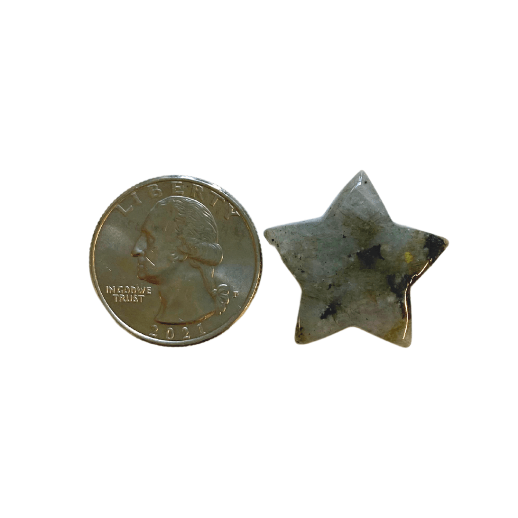 small labradorite star with quarter