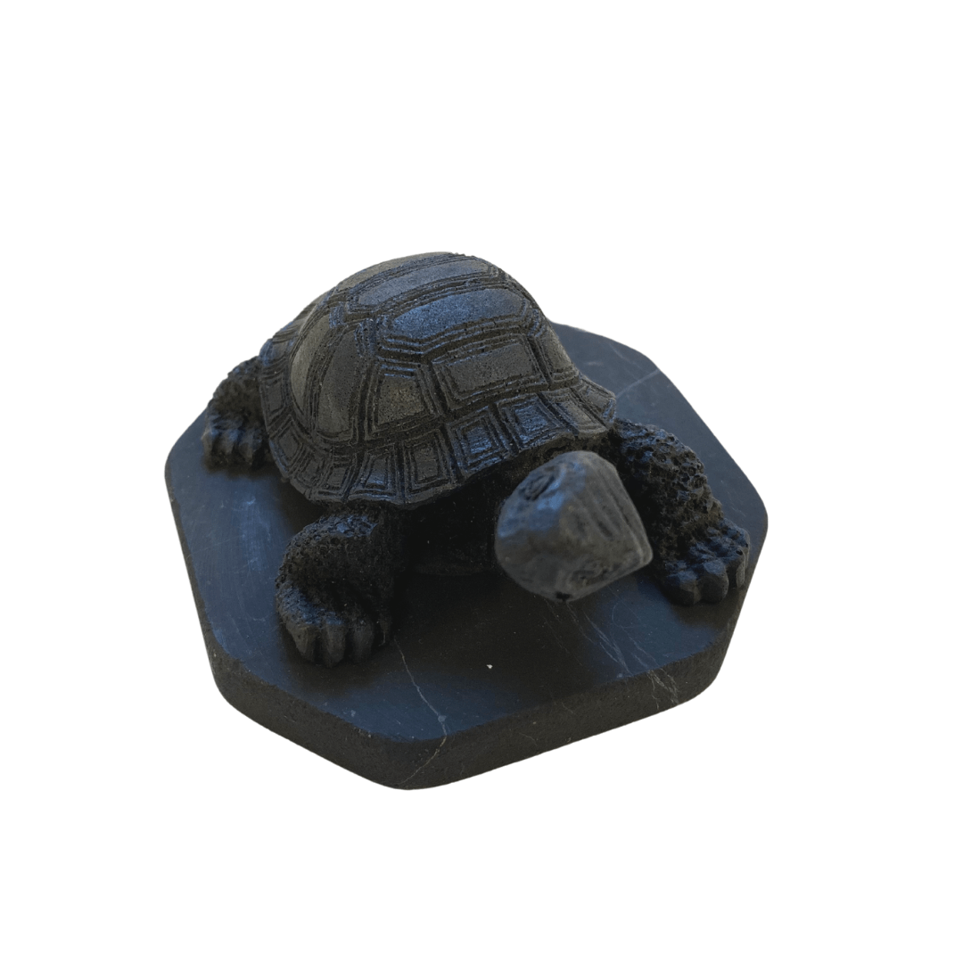 Shungite Turtle