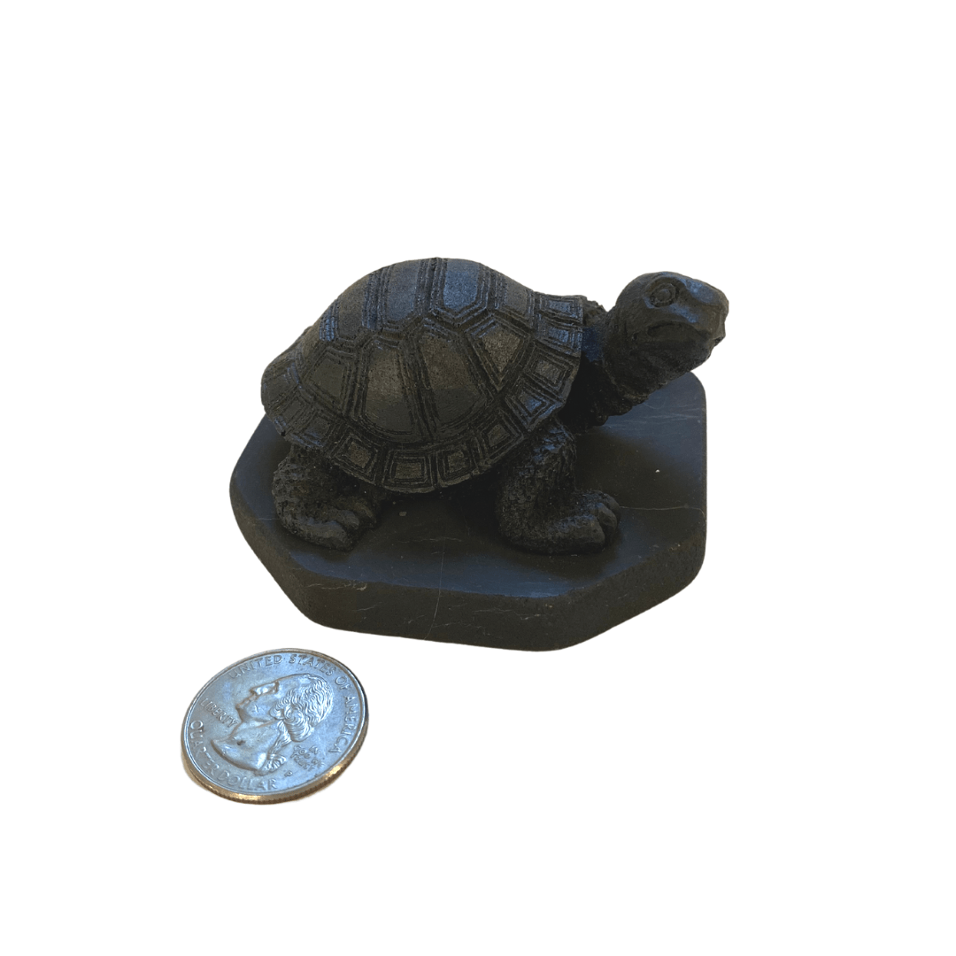 Shungite Turtle - Image 2
