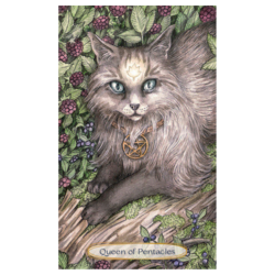 soul cats tarot sample 1