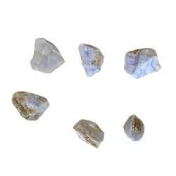 Blue Lace Agate Rough