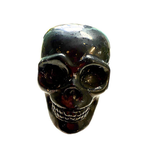 Shungite Skull